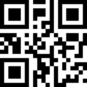 qr telefono